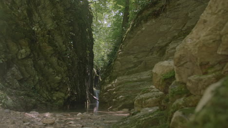 picturesque canyon with a stream