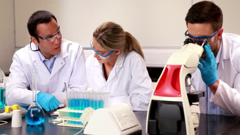 young scientists working together in the lab