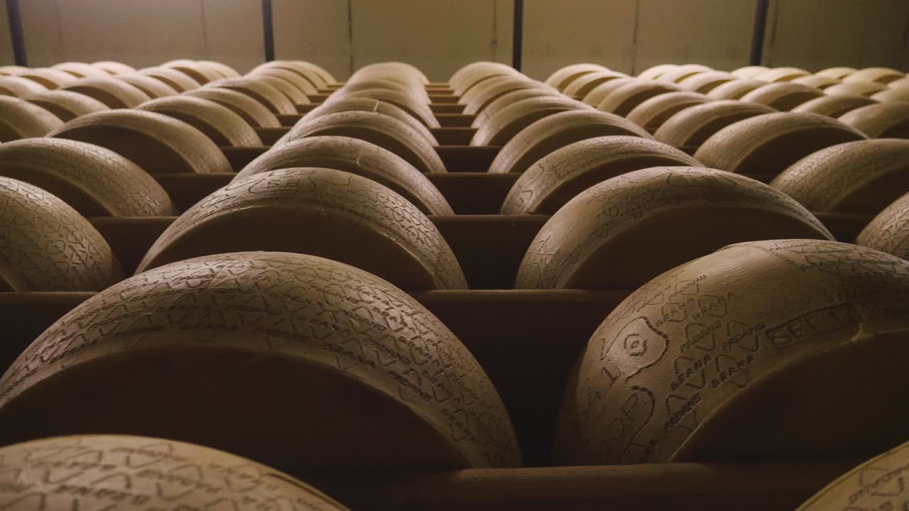 Italy, Parma – 02.05.2018 – A cheesemaker controls the seasoning of Parmesan cheese, which has to mature for many months. The processing is done following the ancient Italian tradition.
