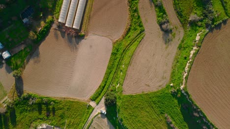 Birds-Eye-view-shot-of-harvest-fields