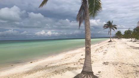 Panorámica-De-La-Cámara-A-Lo-Largo-De-Una-Playa-Caribeña-Desierta-Bordeada-De-Palmeras