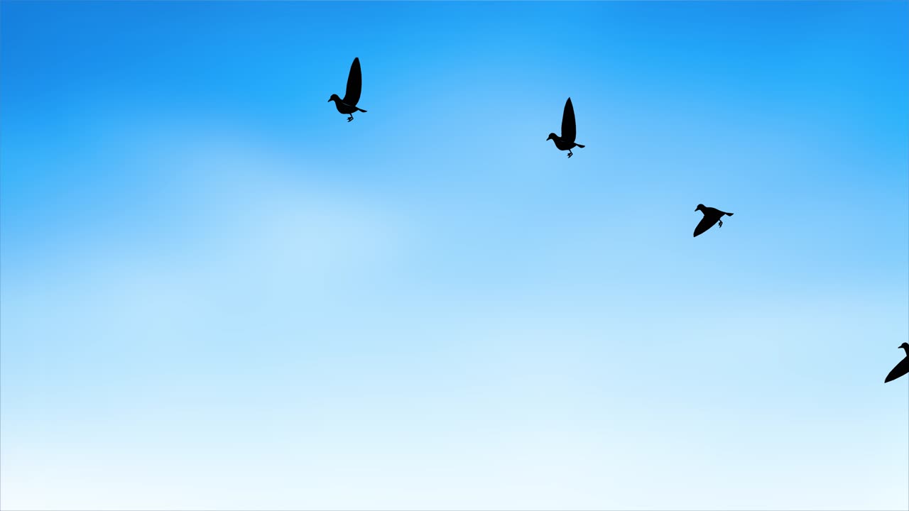 4k animation of group of flamingo birds flying against a blue clear sky background teamwork and