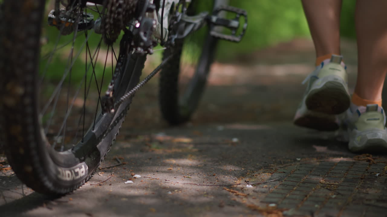 Rider Navigates Forest, Bicycle Rider Enjoying Peaceful Ride Through Sunlit Woodland Surroundings, Cyclist Leisurely Pushes Their Bicycle Along Serene Trail Shaded By Bright Sunlight