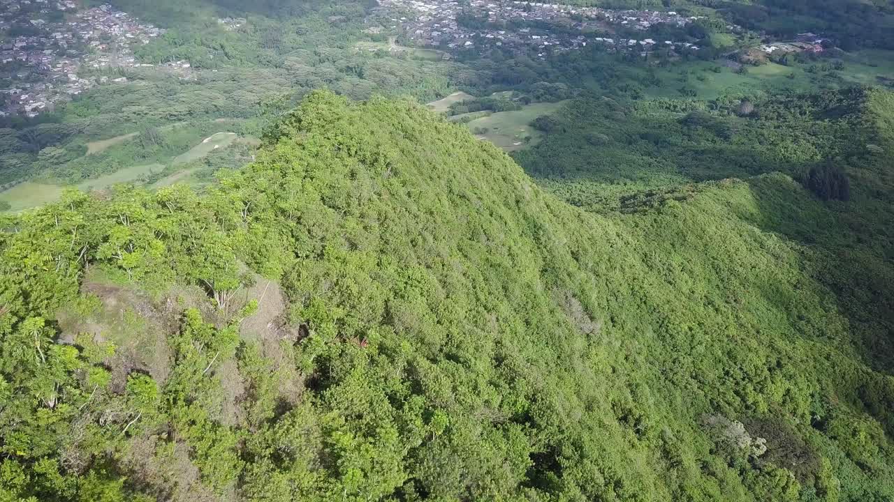 cordillera y árboles koa en el este de honolulu hawaii kai con vistas al valle, inclinación aérea del carro