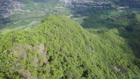 Mountain-range-and-koa-trees-in-east-honolulu-hawaii-kai-overlooking-the-valley,-aerial-dolly-tilt