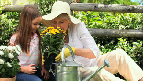 Frau-Mit-Ihrer-Kleinen-Enkelin-Riecht-Blumen