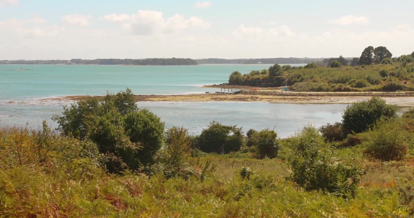 Panoramaudsigt over Ile aux Moines' kystlinje i Morbihanbugten med vegetation og roligt vand