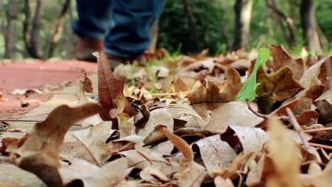 walking autumn forest lonely man 3