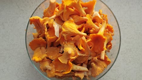 golden chanterelles lit by sunset in baltic kitchen slow motion cinematic zoom