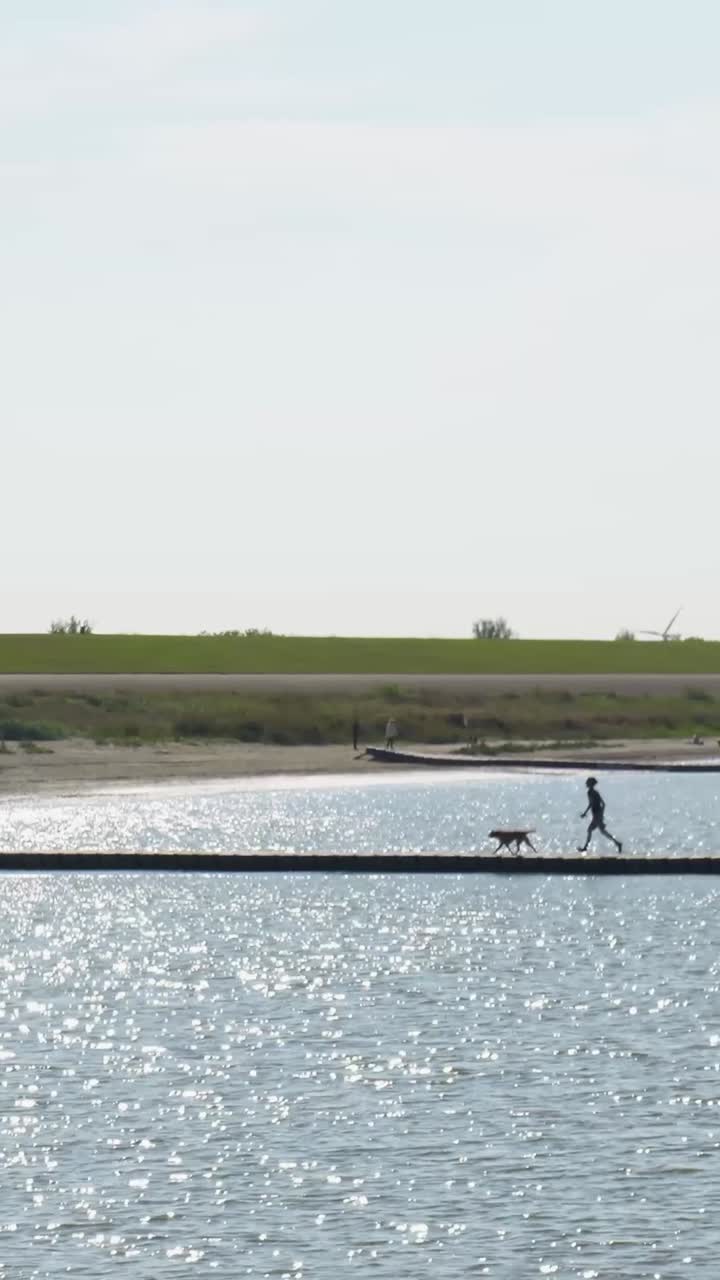 Person Walking Dog on a Pier