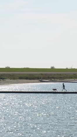 person walking dog on a pier