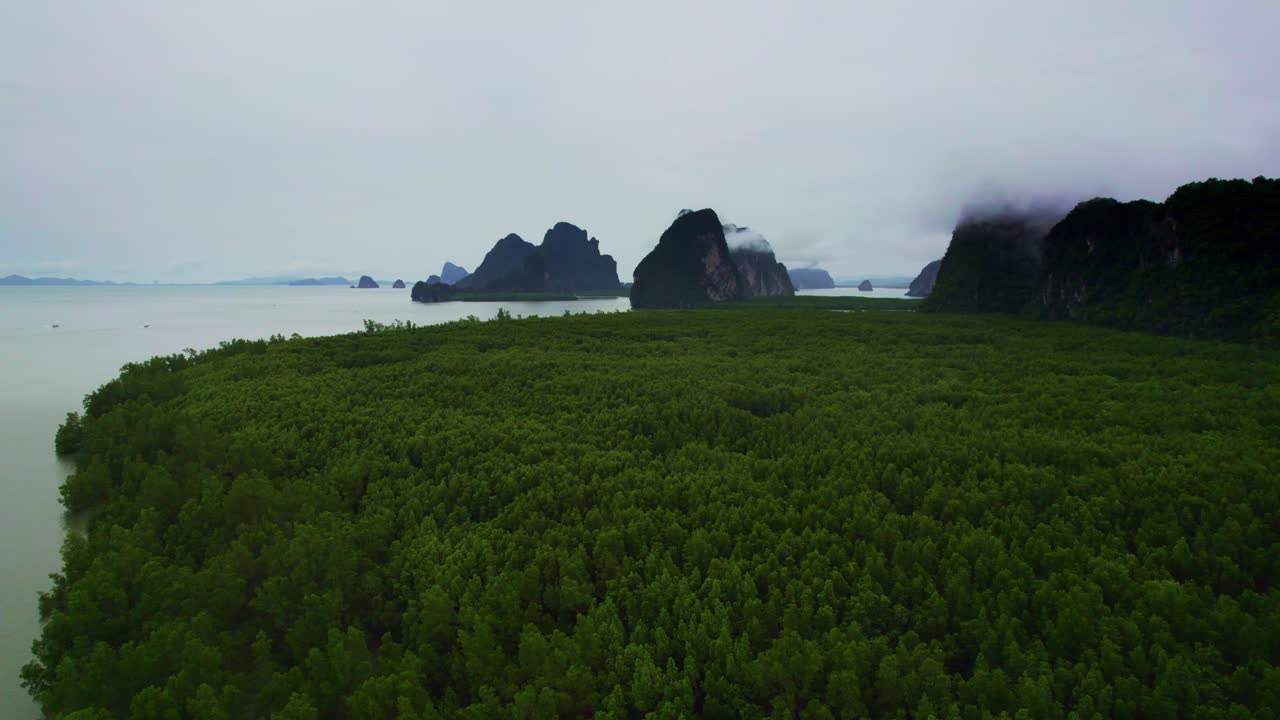 volando bajo sobre el bosque de manglares a lo largo de la costa de la bahía de phang nga con montañas rocosas en el fondo, tailandia