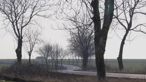 rural road with bare trees on both sides on a cloudy day - static shot