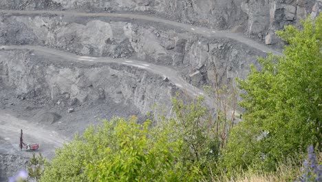 Colourful-lavender-flowers-growing-on-the-slopes-around-a-dusty-quarry-during-spring-in-Germany