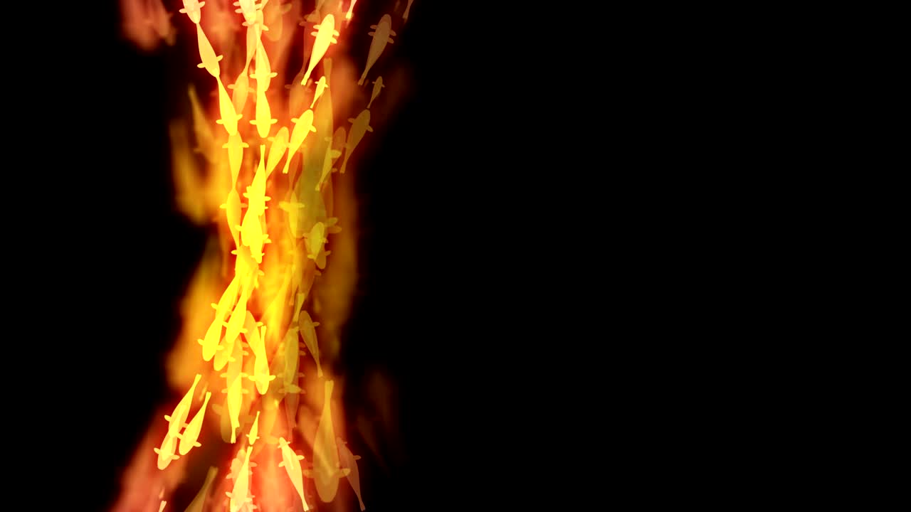 추상적인 보케 빛 반이는 멋진 카르프 또는 코이 물고기 수영 패턴 노란색과 분홍색 그라디언트 색상 그림 어두운 배경, 원활한 루핑 애니메이션 4k 오른쪽 복사 공간