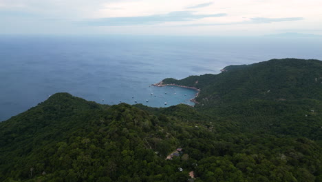 Aerial-top-down-shot-of-green-jungle-hills-on-Koh-Tao-with-parking-boats-at-Aow-Mao-Dive-Site