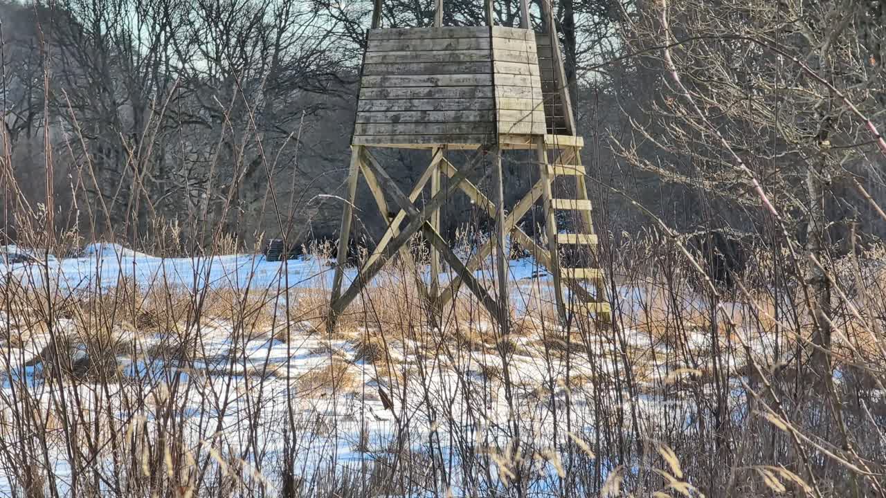 Dřevěný posed na louce v zimním slunci s jasně modrou oblohou. Video natočené v 60fps. Tento klip je 23,8x zpomalený, takže se můžete rozhodnout, jak s ním naložíte