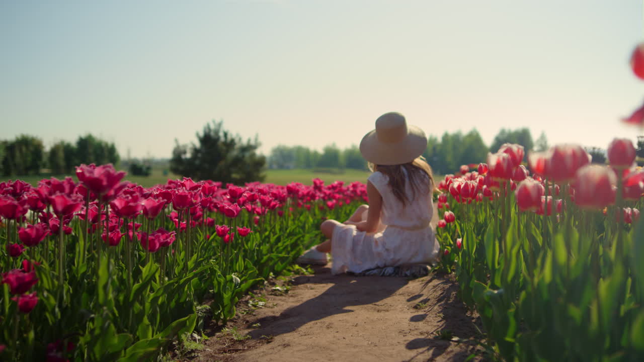 cámara moviéndose a lo largo de la carretera en el campo de tulipanes rojos con la chica en el sombrero sentado en las flores