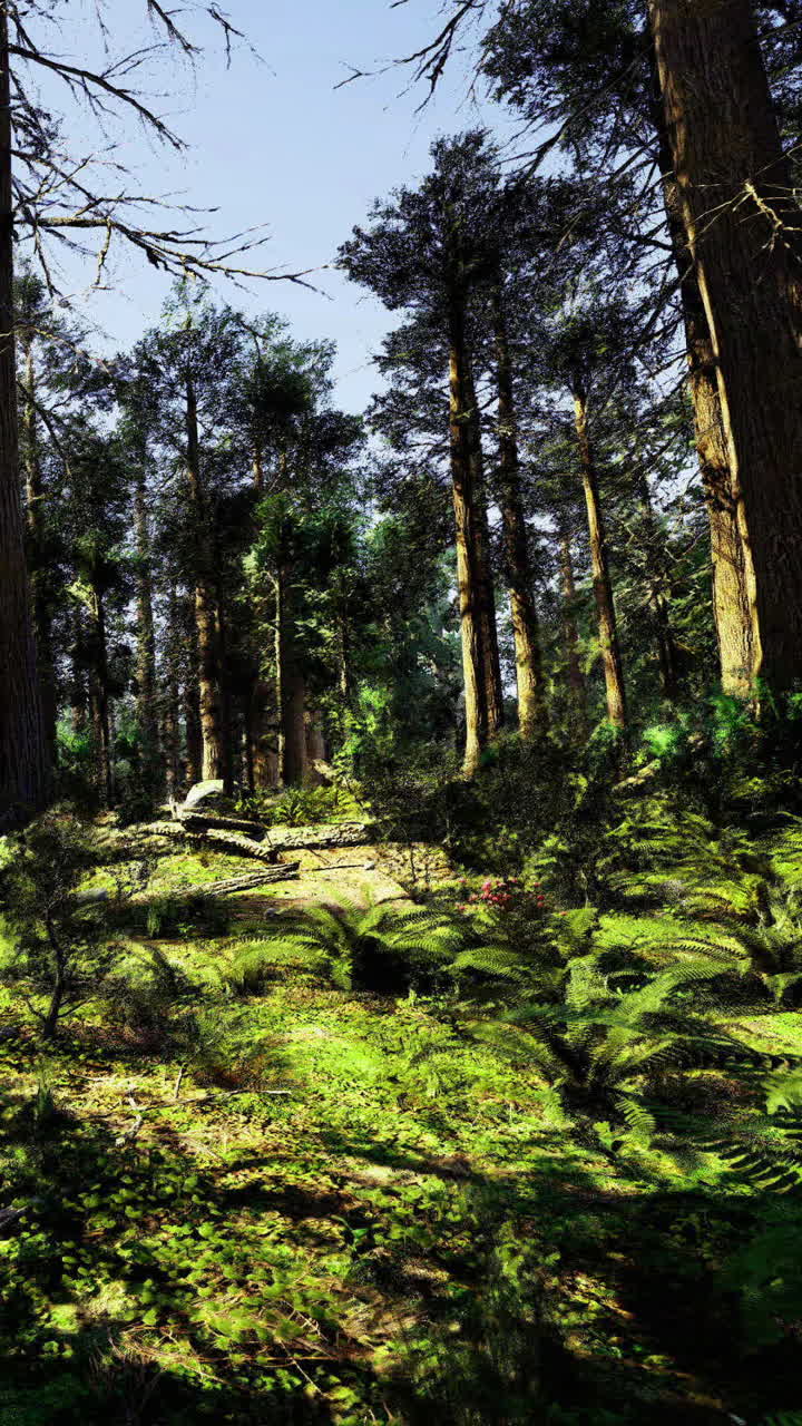 La luce del sole filtra attraverso gli alberi in un ambiente boschivo verde con felci