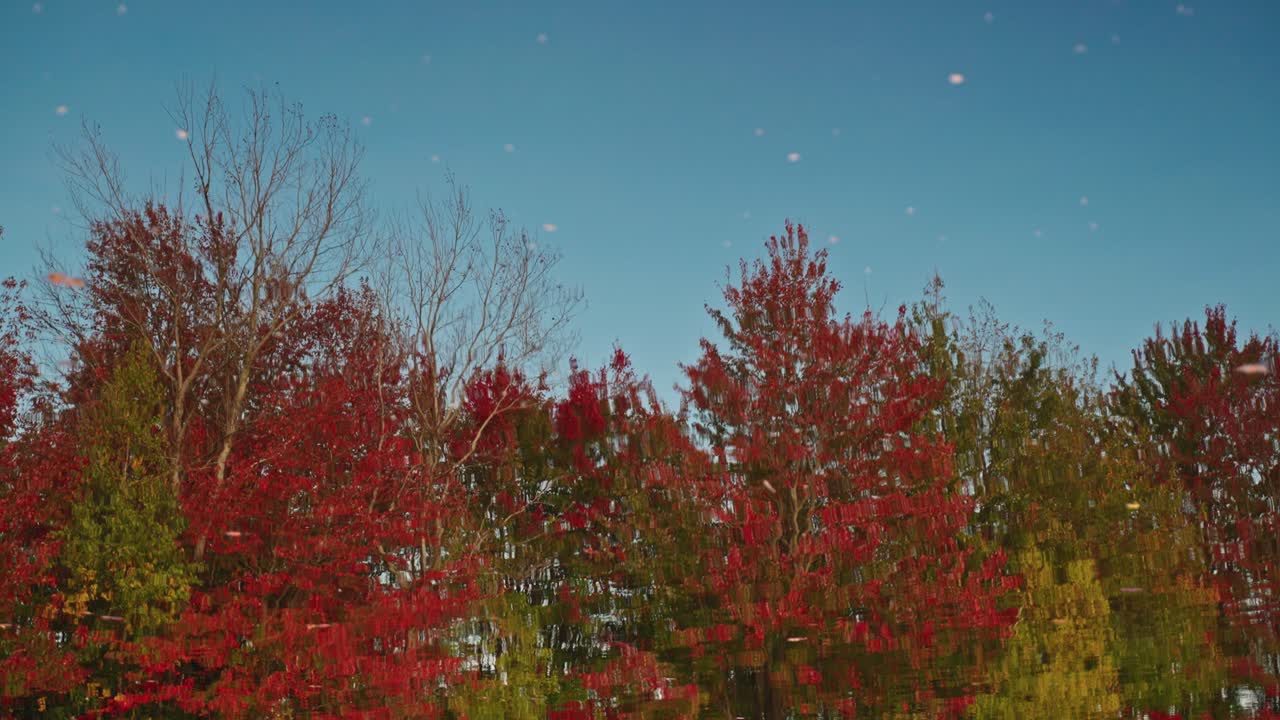 Twilight sky reflected on a lake top in a vibrant red autumn forest, North America, Quebec, Montreal, Canada.