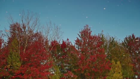 Twilight sky reflected on a lake top in a vibrant red autumn forest, North America, Quebec, Montreal, Canada.