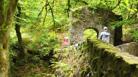 person walking through forest entrance in dunkeld, scotland