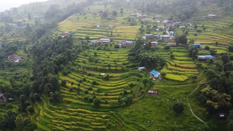 vista aérea de idílicos campos agrícolas ubicados en una ladera en nepal durante la hora del atardecer.