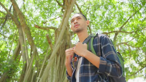 man hiking in a forest