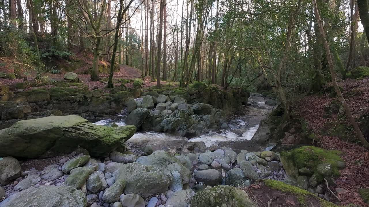 arroyo de montaña que fluye a través del bosque en invierno sol mahon río comeragh montañas waterford irlanda