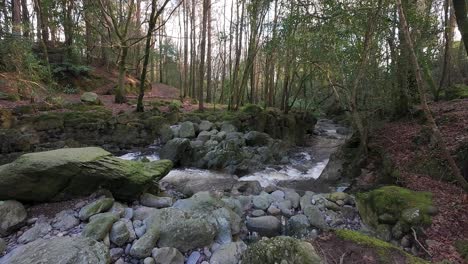 Gebirgsbach-Fließt-Durch-Den-Wald-Im-Winter-Sonnenschein-Mahon-River-Comeragh-Mountains-Waterford-Irland