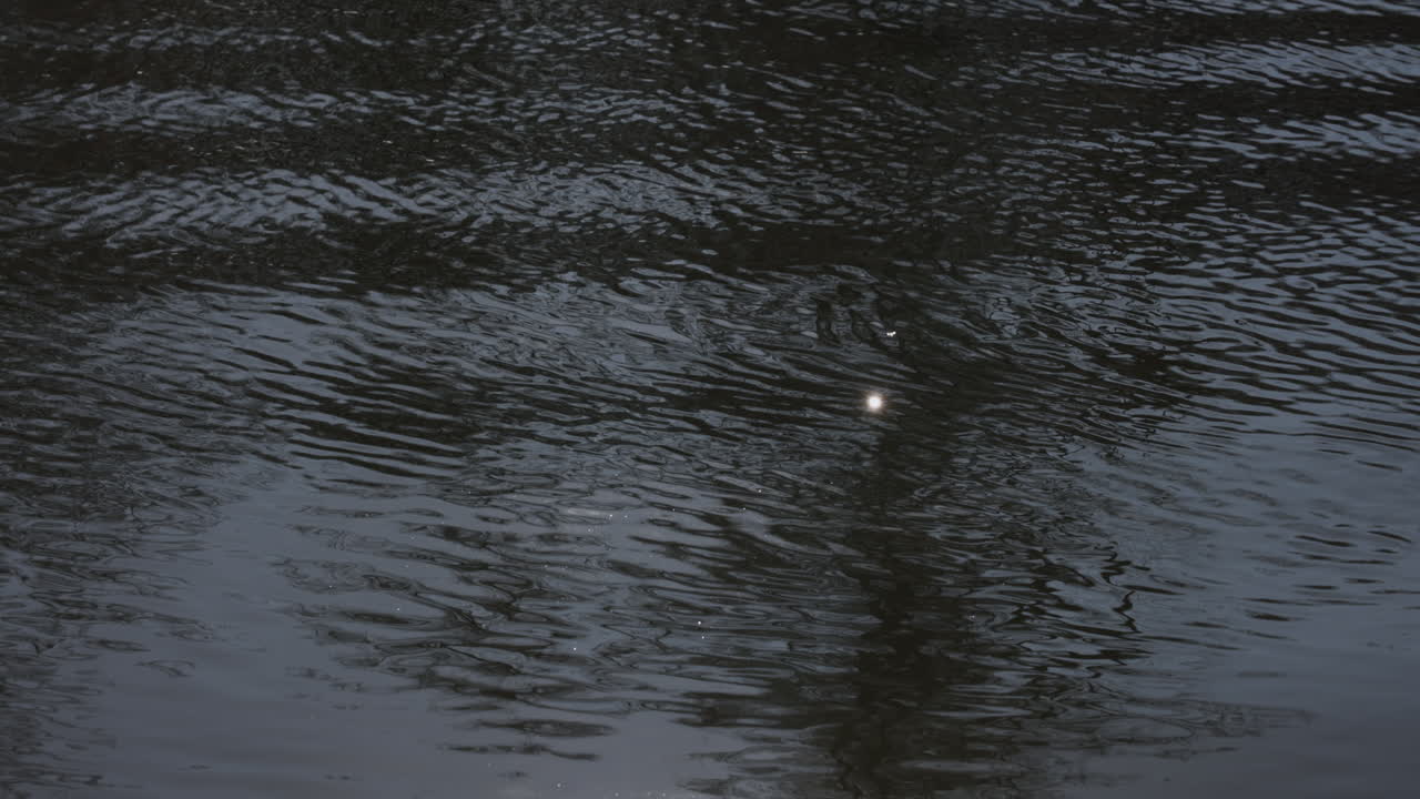 자연 속 의 호수