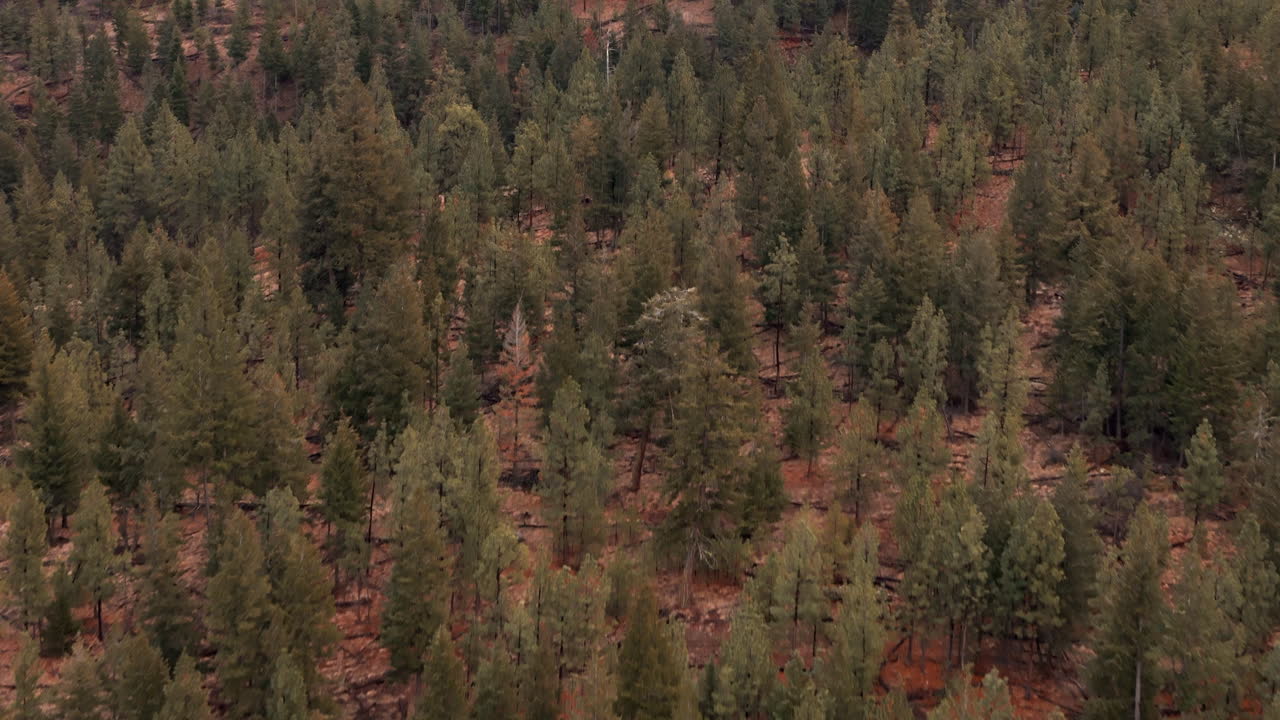 Vista di Kamloops nella regione di Thompson