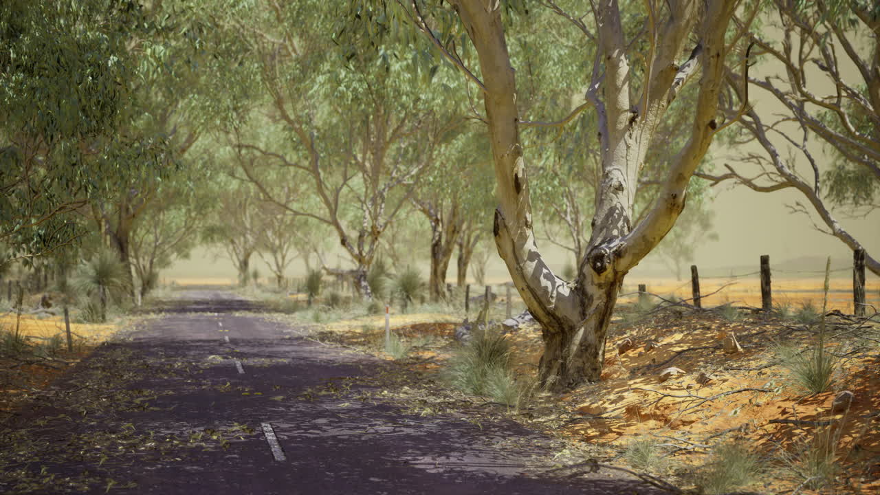 Quiet road surrounded by trees in remote area during midday