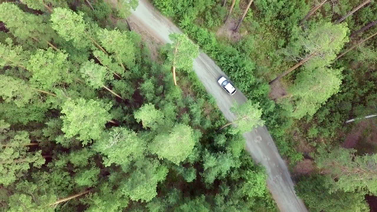 숲 을 가로질러  도로 를 달리는 자동차 의 공중 풍경