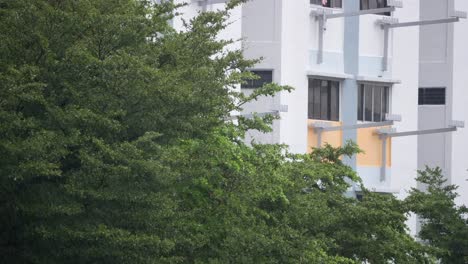 trees and a multi-story building