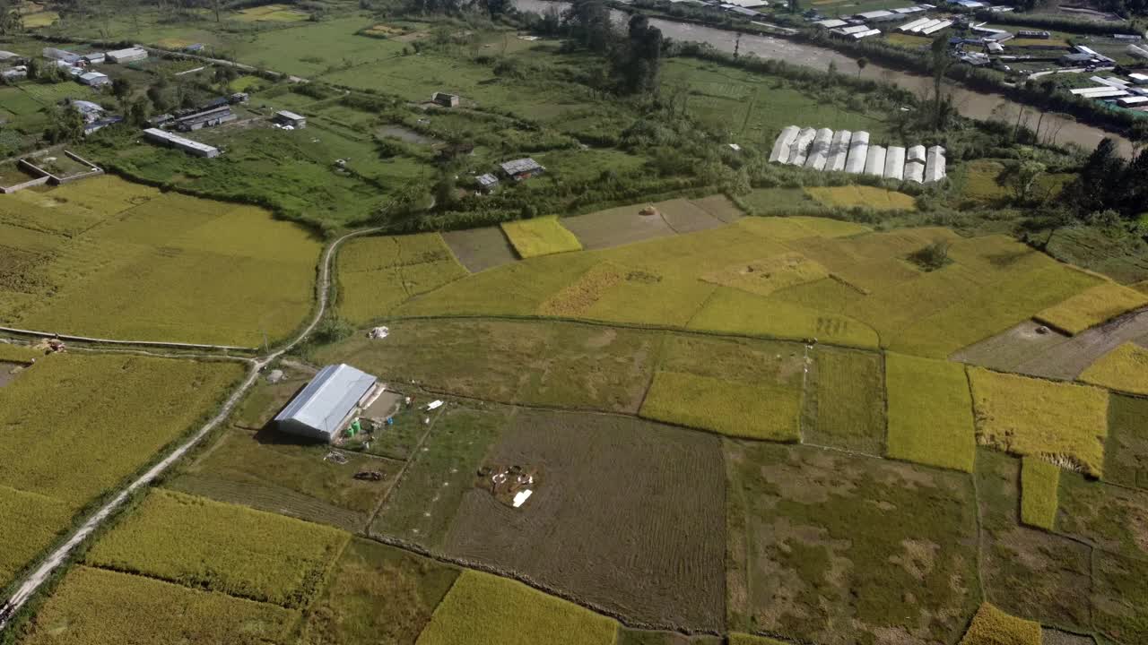 네팔 언덕의 언덕에 있는 노란 라이스 테라스 위를 날다