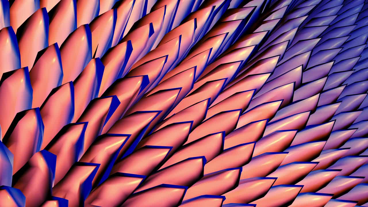 3D old rose and dark blue color digital geometric wave material texture pattern abstract retro futuristic background animation loop. 4K Seamless loop digital motion graphics for title, vj loop.