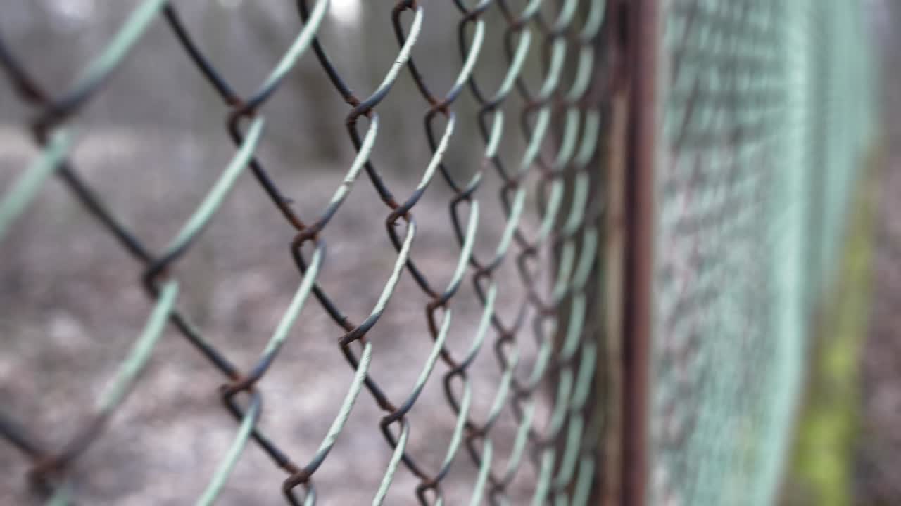 Rusted Fence Close-Up Shallow Focus