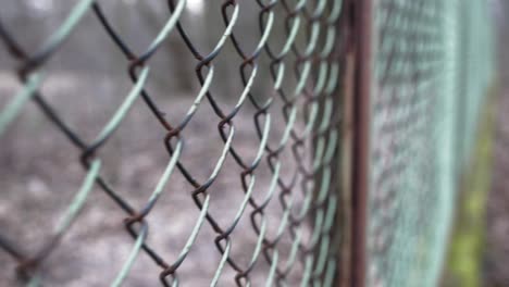 rusted fence close-up shallow focus