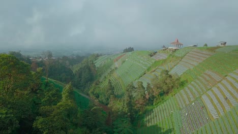 aerial footage of beautiful terraced vegetable plantation on