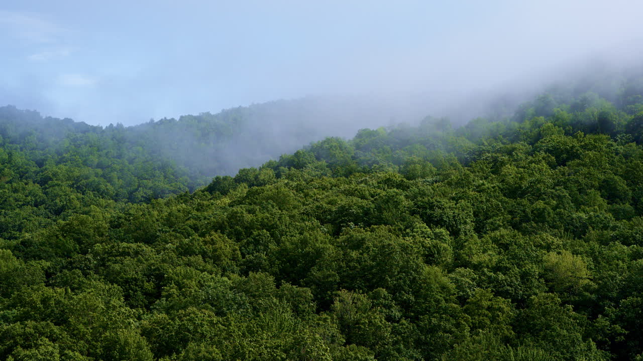 Smooth cinematic drone shot entering the foggy ridges of the Smokies