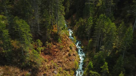 Bucle-De-Vídeo-Sin-Fisuras-De-Cinemagrafía-Aérea-De-Un-Vívido-E-Idílico-Cañón-De-Cascada-De-Río-De-Montaña-En-Elmau-Con-Agua-Azul-Fresca-En-Los-Alpes-Austriacos-Bávaros,-Fluyendo-Por-Un-Lecho-De-Río-Natural-A-Lo-Largo-De-Los-árboles