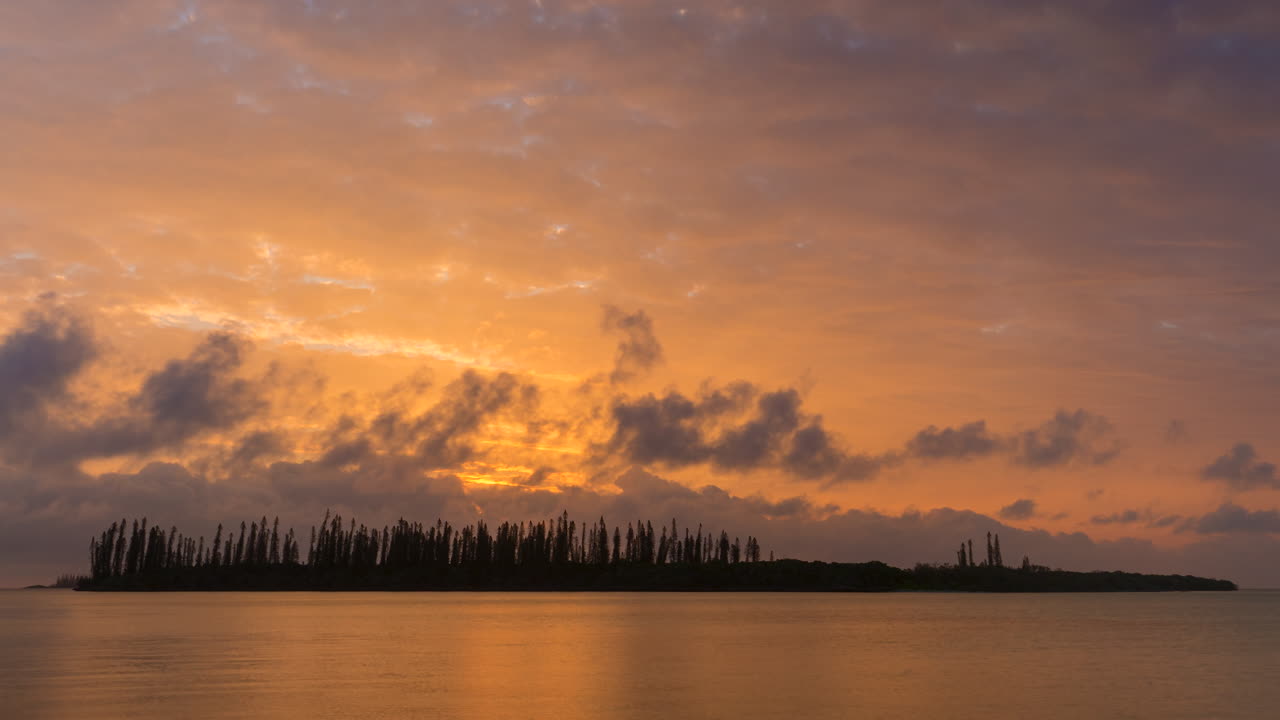 소나무 섬의 원주형 소나무 위로 극적인 일몰 시간 경과