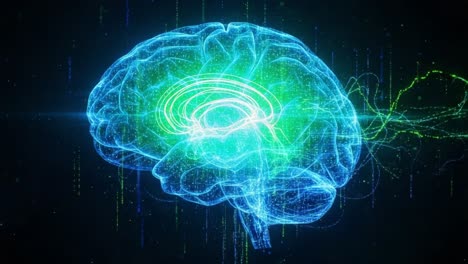 an intriguing glimpse into the human brain: a dynamic visualization of neural networks and signals representing complex cognitive functions and interactions