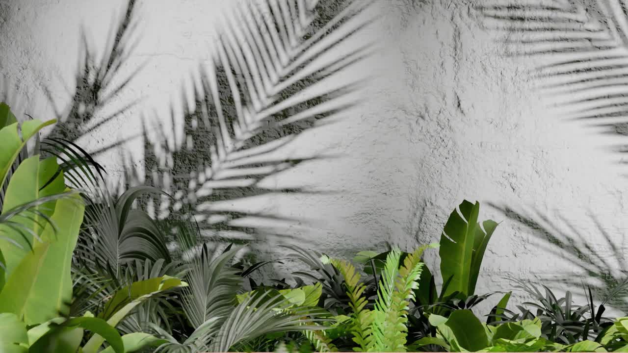Tropical green plants casting palm leaf shadows on textured white wall. Botanical outdoor photography. Nature, foliage, and tropical garden design concept. Design for wallpaper, banner