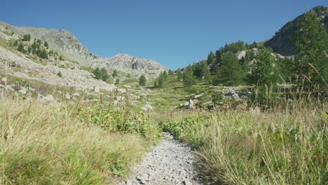 一個人獨自在山上徒步旅行,跟著步道走,走向相機