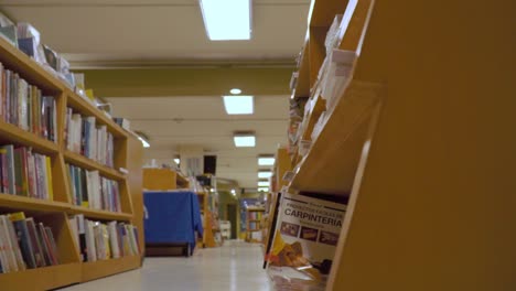 a slow slider shot revealing a hallway in a library filled with bookshelves and various titles