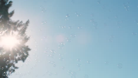 burbujas de jabón flotando en el cielo con la luz del sol divertido verano 4k