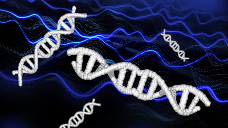 dna strands and blue waves, scientific data processing animation