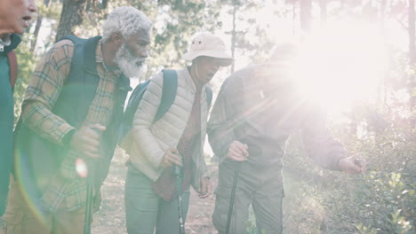 group of seniors hiking in a forest